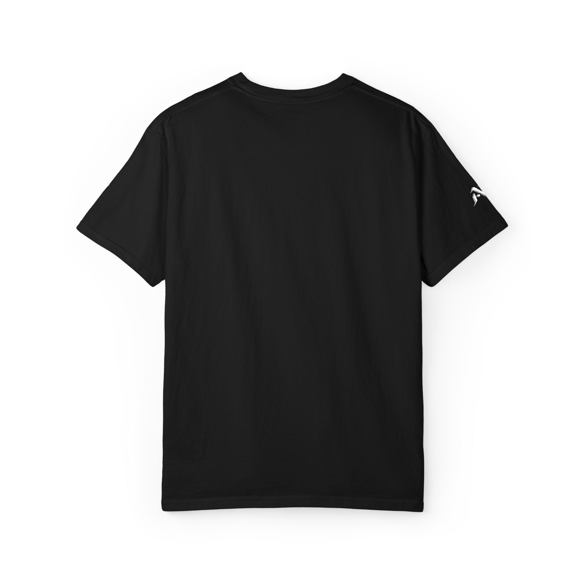 ARAW Logo tee T-Shirt | Chest and Sleeve Embroidered Logo